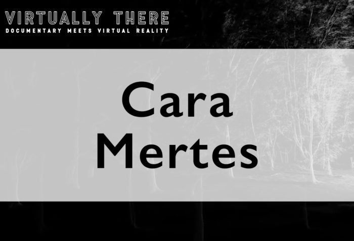 Virtually There: Cara Mertes