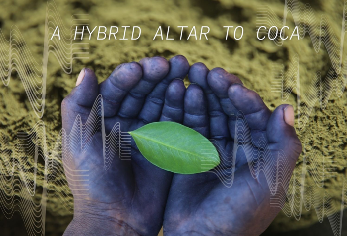 A photo of two darkened hands cupped together to hold a coca leaf with sound waves coming out of it. The hands are in front of a green background. At the top, "A Hybrid Altar to Coca" is written in all-caps white text.