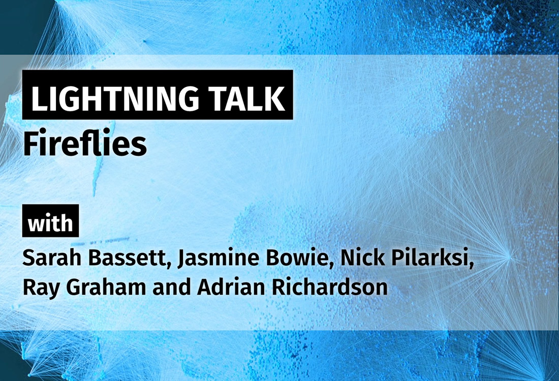A Lightning Talk about Fireflies: A Brownsville Story.